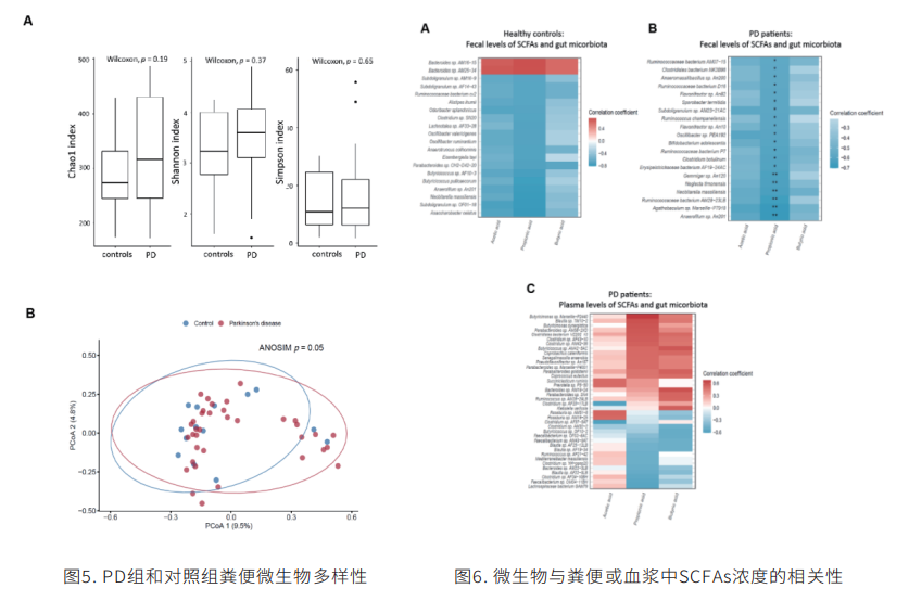 结果展示4 结果展示4
