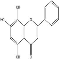 去甲汉黄芩素4443-09-8