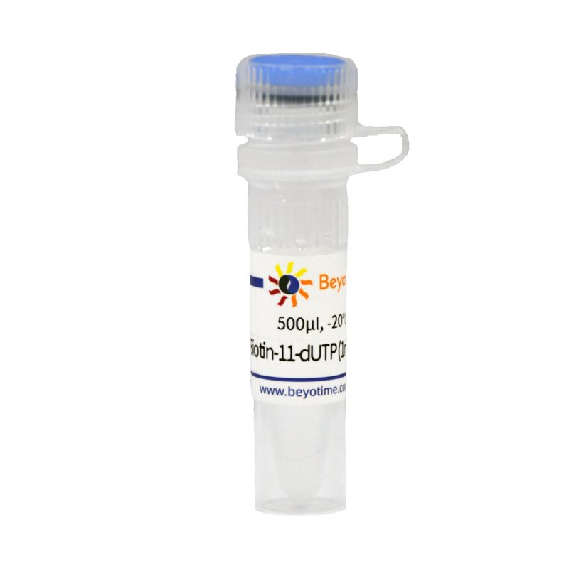 Biotin-11-dUTP (1mM, Nuclease free)