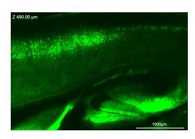 2915039987097407.jpg 2915039987097407.jpg