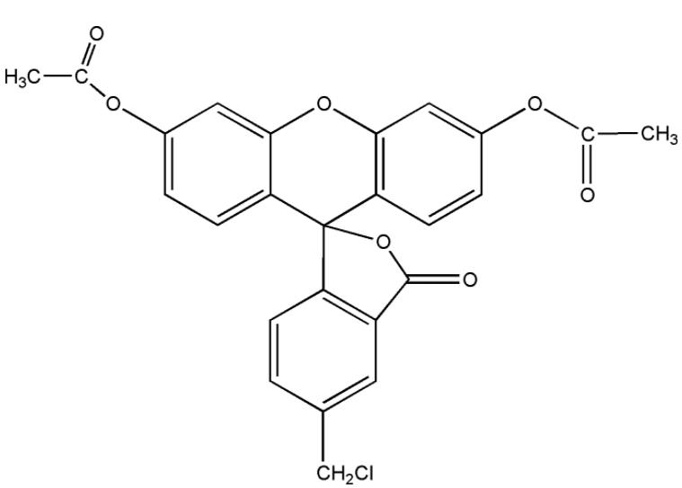 活细胞示踪剂CMFDA(绿色)多少钱