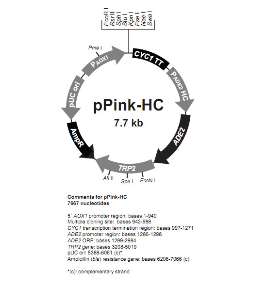 pPink hc产品信息