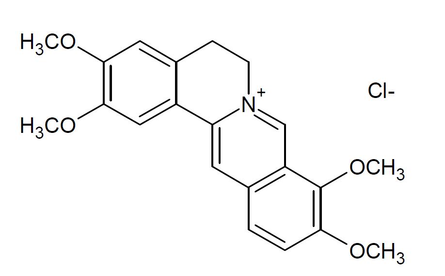 左甲状腺素对照品优惠促销
