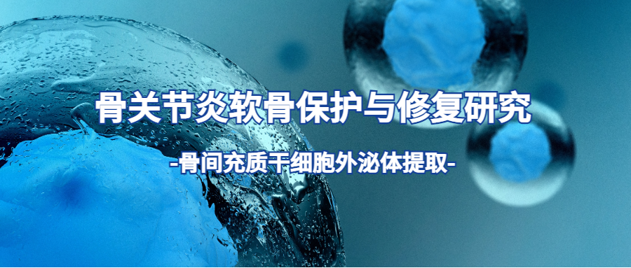 IF=10.2 | Umibio外泌体提取试剂盒助力骨关节炎软骨保护与修复研究！