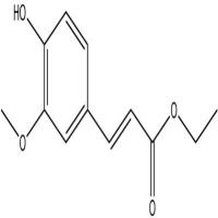 阿魏酸乙酯4046-02-0