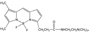 北京Alexa Fluor 594标记山羊抗小鼠IgG(H+