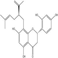 苦参酮F97938-30-2