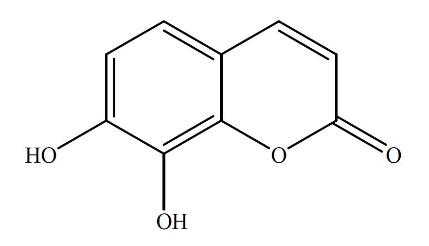 北京现货环丙沙星杂质H对照品库存