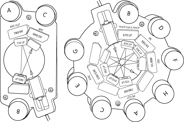 BD FACSCanto™ II 流式细胞仪