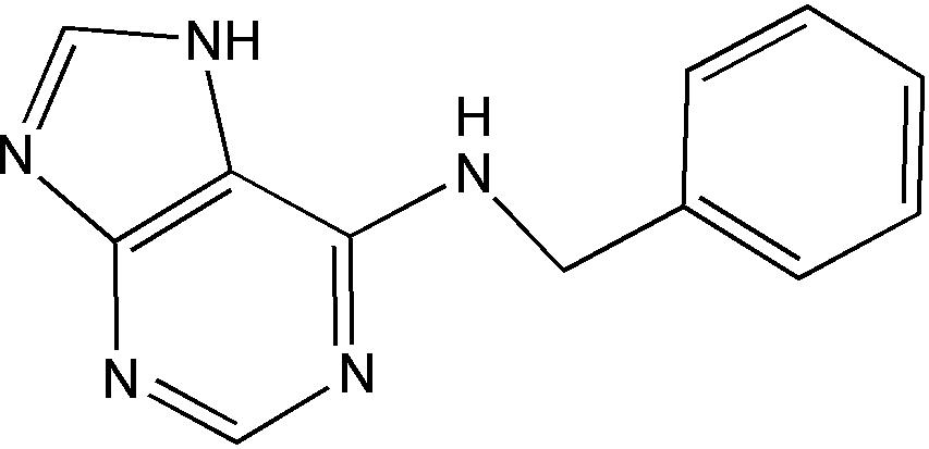 北京Caspase 3活性检测试剂盒(比色法)价格