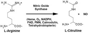 YT819型磷酸化p38 MAPK抗体报价