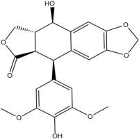 4’-去甲基鬼臼毒素40505-27-9