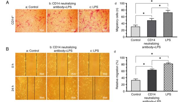 三生有幸，舶来品韶华流光里，俯仰皆是Absin
