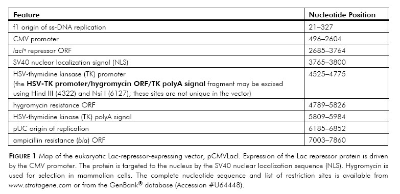 pCMVLacI产品信息