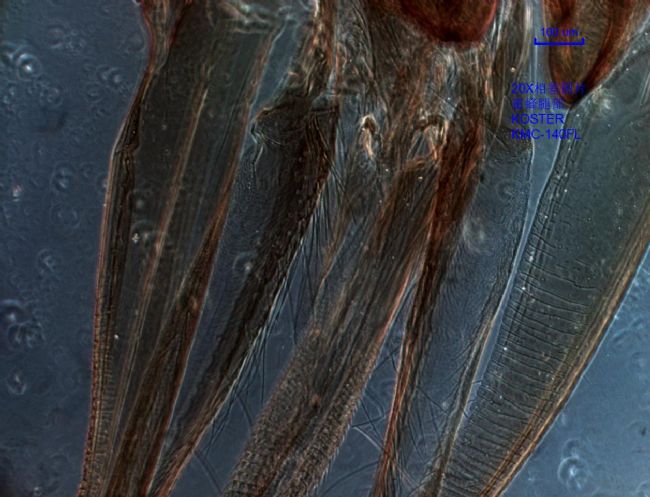 产品细节图片11