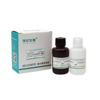 EZ ECL 超敏发光液（高灵敏度，高发光强度）