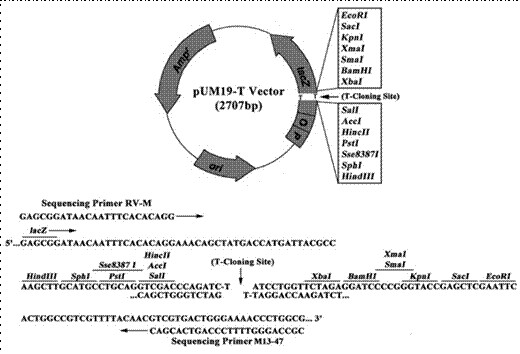 磷酸酶抑制剂混合物(100×)厂家