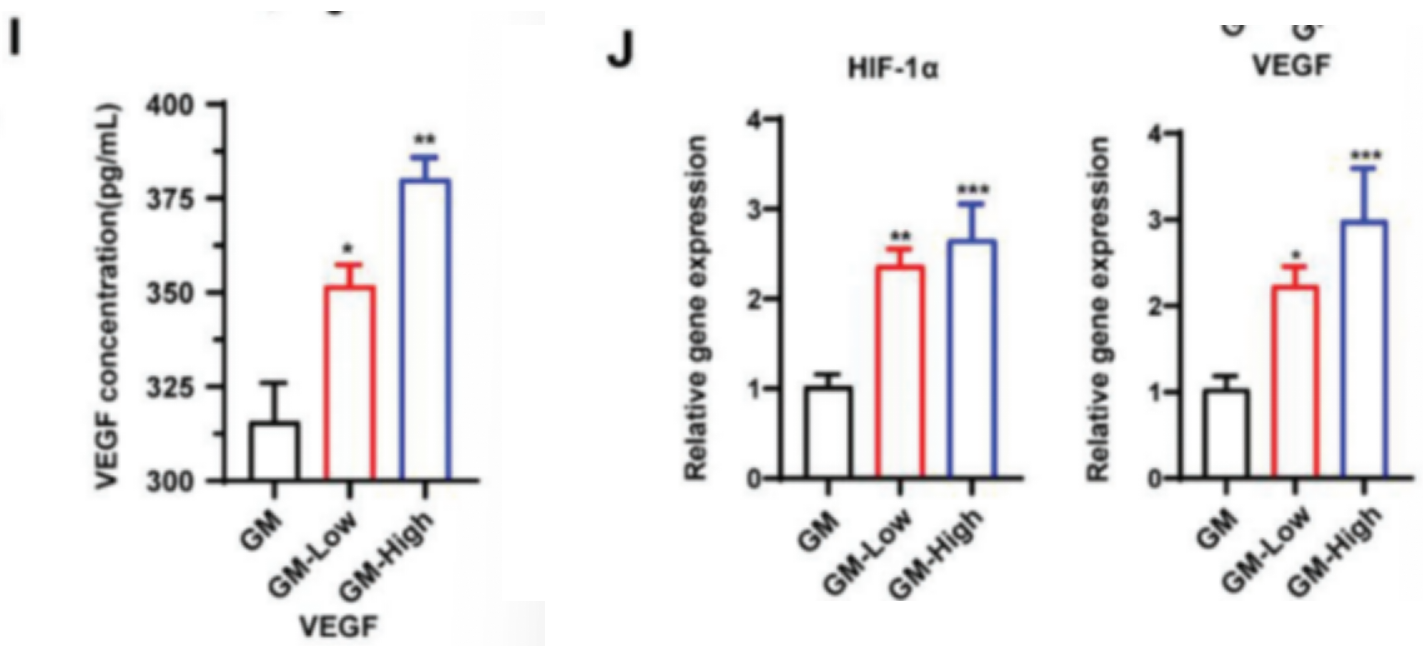 高分文献解读｜3D打印骨支架实现梯度密度颌骨功能性重建