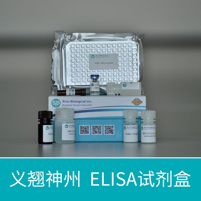 Human B7-H3 / CD276 ELISA Kit | 人 B7-H3 / CD276 酶联免疫试剂盒