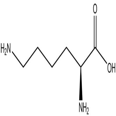 赖氨酸56-87-1