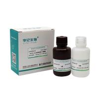 EZ ECL 化学发光液(增强型)