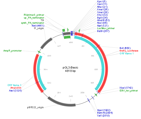 pGL3-basic产品信息