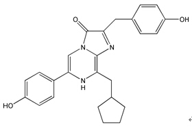北京HNF4-Luc荧光素酶报告基因质粒哪里卖