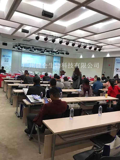 流感病毒检测试剂盒