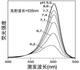 细胞内pH荧光探针(BCECF AM)价格