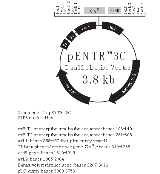 pENTR 3C产品信息