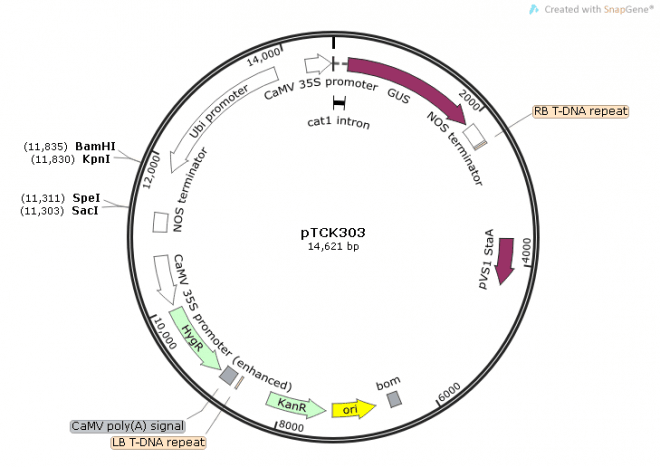 QQ图片20160715101825