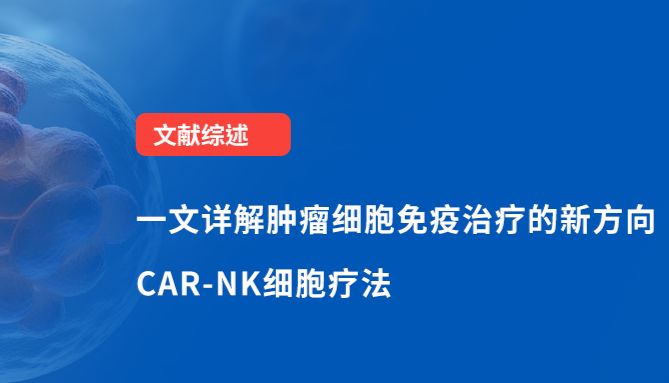综述丨一文详解肿瘤细胞免疫治疗的新方向——CAR-NK细胞疗法