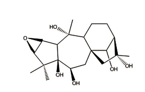 北京现货甲磺酸加贝酯标准品哪里卖