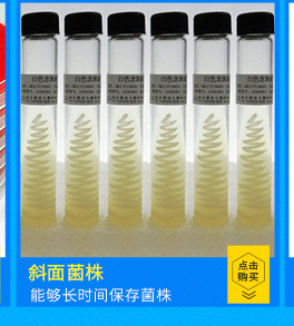 90mm科玛嘉念珠菌显色培养基 厂家直销