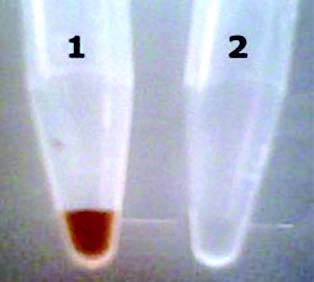土壤腐殖酸清除剂使用效果