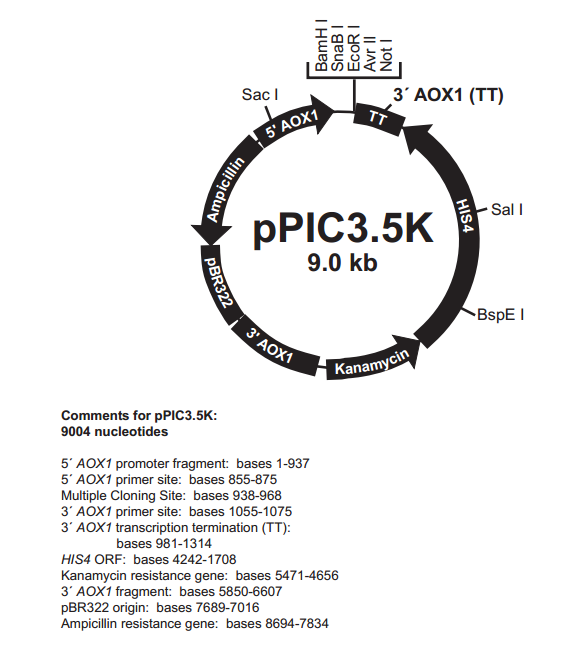 pPIC3.5K 质粒图谱