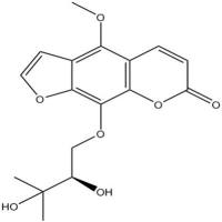白当归素482-25-7