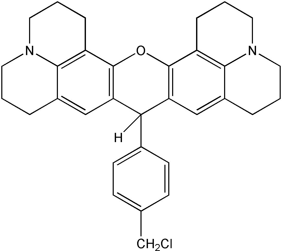 V5 Tag多肽 蛋白质研究