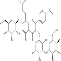 朝藿定A1140147-77-9
