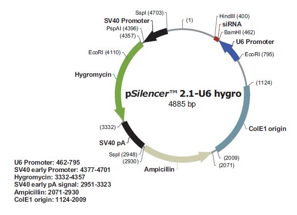 pSilencer 2.1-U6 hygro产品信息