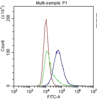 CD8 alpha/Cd8a Antibody 抗体，orb