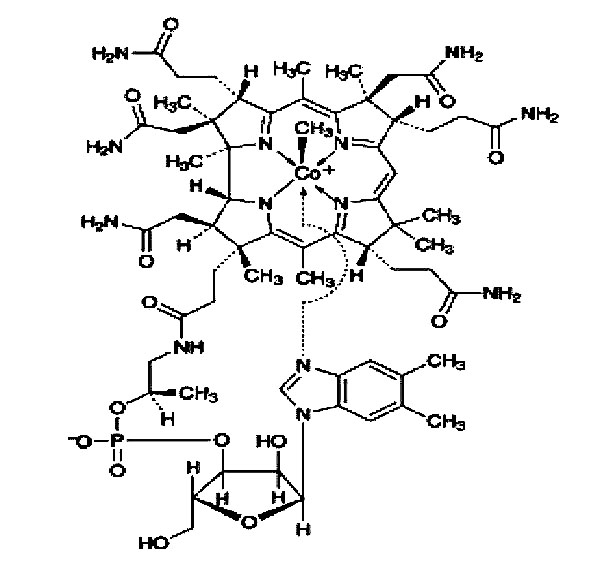 北京氟尿嘧啶标准品厂商