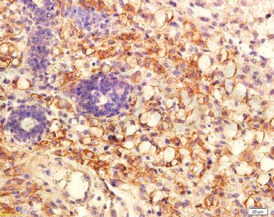 产品细节图片12