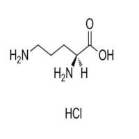 L-鸟氨酸盐酸盐3184-13-2