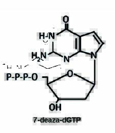Deaza dGTP结构式
