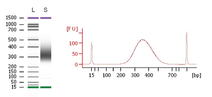 北京现货DNA产物快速纯化试剂盒特价优惠
