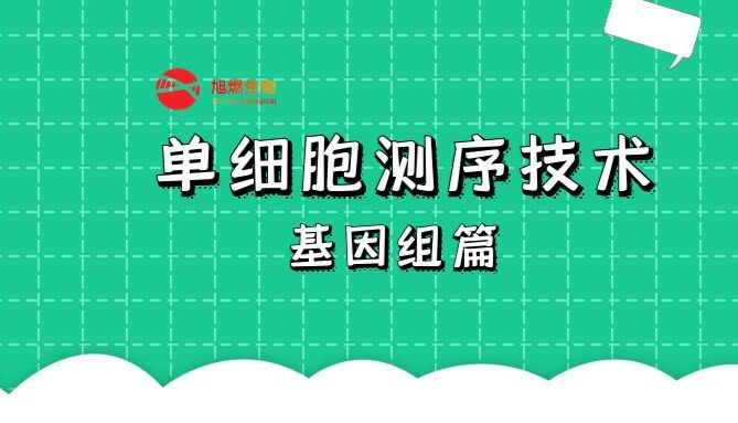单细胞测序技术——基因组篇