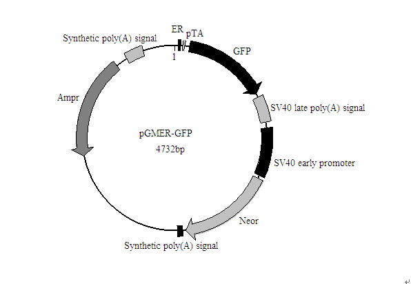 北京高分辨率琼脂糖(PCR级)价格