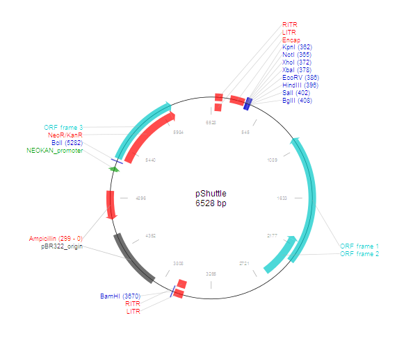 pShuttle产品信息