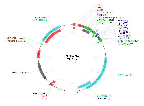 pShuttle-CMV产品信息